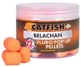 CATFISH BELACHAN FLURO POP-UPS PELLET