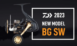 DAIWA 23 BG SW 8000 H   23BGSW8000H