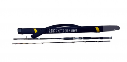 COLMIC REGENT 300  2,10m / 100-300g