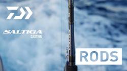 DAIWA 21 SALTIGA CASTING 85-8  SALTCAST85