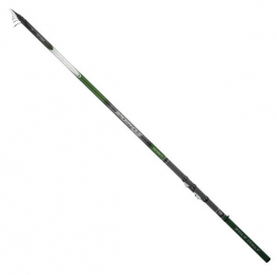 DAIWA AMORPHOUS BOLO INFINITY R 6.00mt  AVI60BI