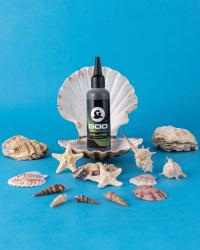 Korda ''GOO'' SHELLFISH KG0055