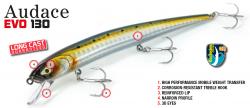 Molix Audace EVO 130 