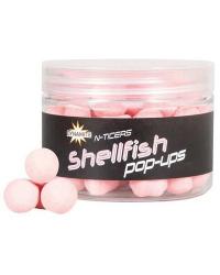 dynamite pop-ups N-TICERS SHELLFISH