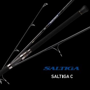 DAIWA 21 SALTIGA CASTING 85-8  SALTCAST85 - gallery 2